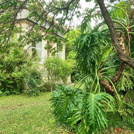 Pension Villa Inge Baden bei Wien Zewnętrze zdjęcie