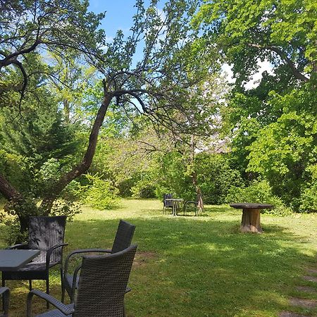 Pension Villa Inge Baden bei Wien Zewnętrze zdjęcie