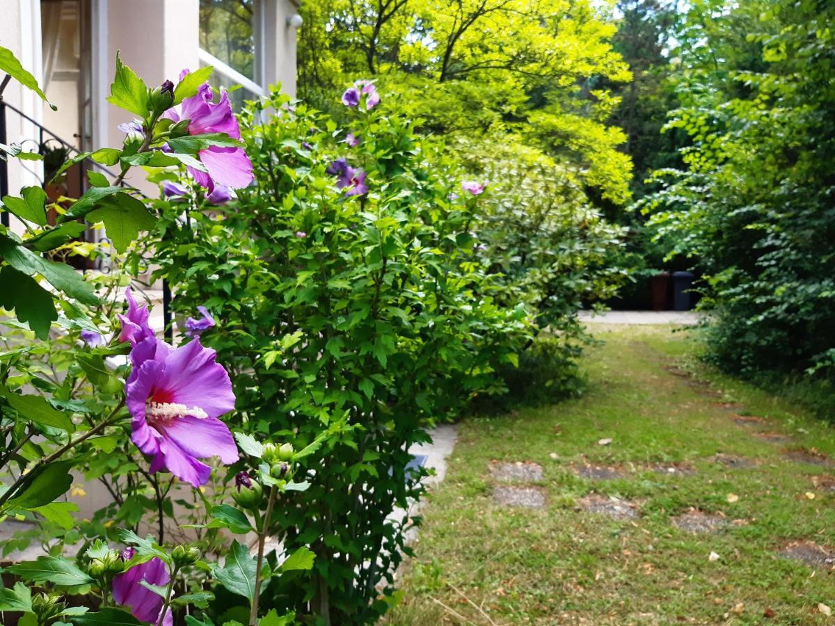 Pension Villa Inge Baden bei Wien Zewnętrze zdjęcie