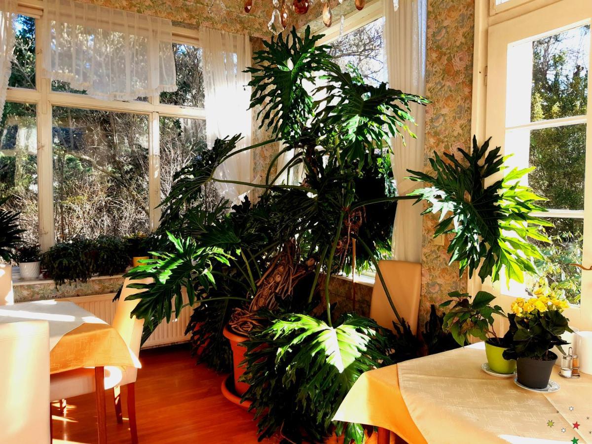 Pension Villa Inge Baden bei Wien Zewnętrze zdjęcie