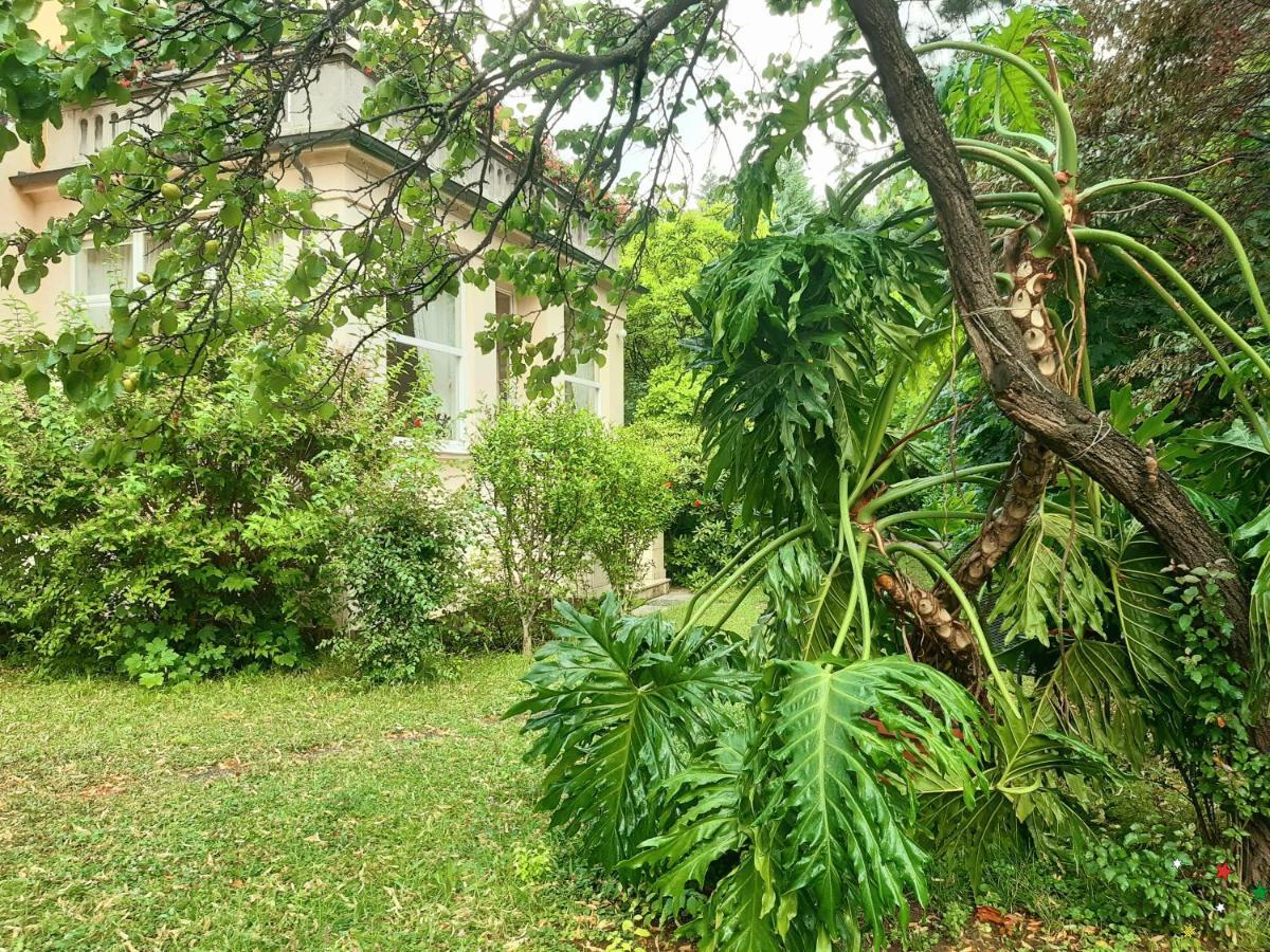 Pension Villa Inge Baden bei Wien Zewnętrze zdjęcie