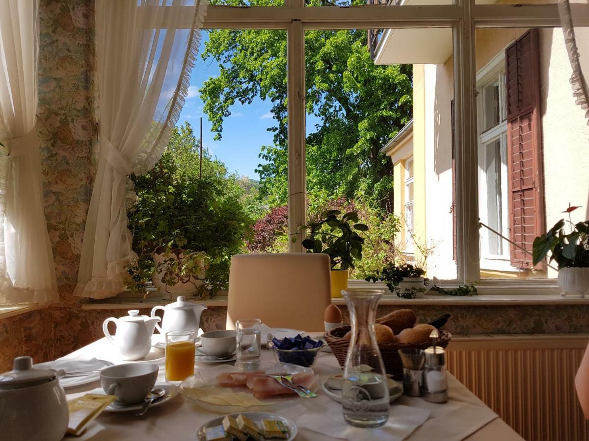 Pension Villa Inge Baden bei Wien Zewnętrze zdjęcie